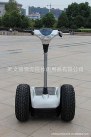 永康市踏雪無(wú)痕休閑用品有限公司——電動(dòng)觀光車(chē)產(chǎn)品列表與休閑觀光活動(dòng)
