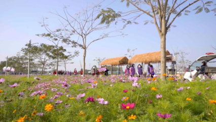 百花爭(zhēng)春！2023廣東省森林文化周春季活動(dòng)正式啟動(dòng)——邀你共赴一場(chǎng)森林里的休閑觀光之旅