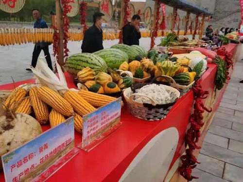 吳忠市曹泥洼村豐收節(jié) 休閑農(nóng)業(yè)精品線路推介與農(nóng)民歡慶共繪鄉(xiāng)村振興新畫(huà)卷